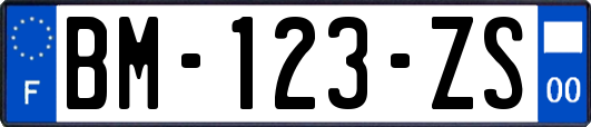 BM-123-ZS