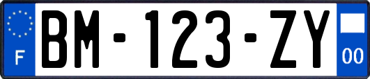 BM-123-ZY