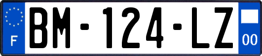 BM-124-LZ