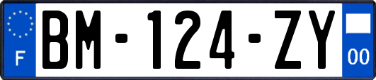 BM-124-ZY