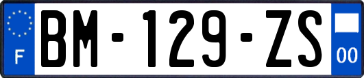 BM-129-ZS