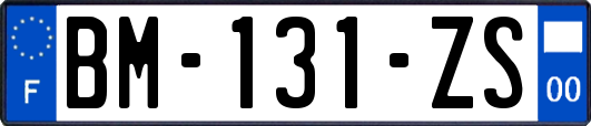 BM-131-ZS