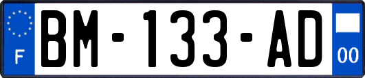 BM-133-AD