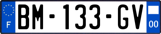 BM-133-GV