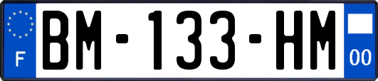 BM-133-HM