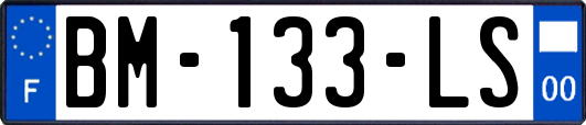 BM-133-LS