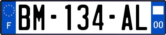 BM-134-AL