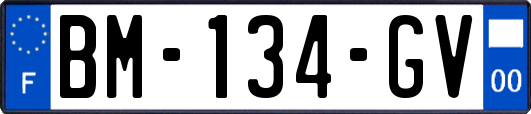 BM-134-GV