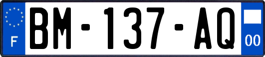 BM-137-AQ