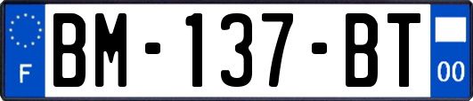 BM-137-BT