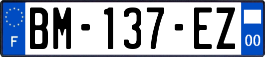 BM-137-EZ