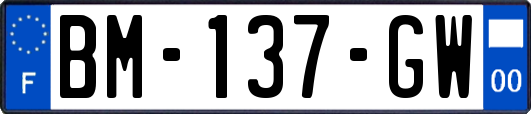 BM-137-GW