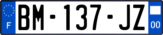 BM-137-JZ