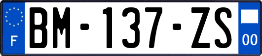 BM-137-ZS