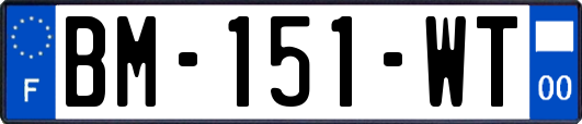 BM-151-WT