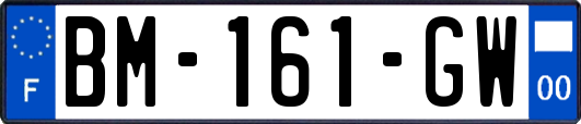 BM-161-GW