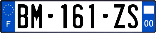 BM-161-ZS