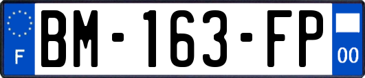 BM-163-FP