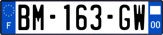 BM-163-GW