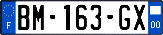 BM-163-GX