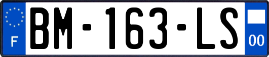 BM-163-LS