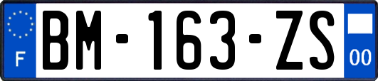 BM-163-ZS