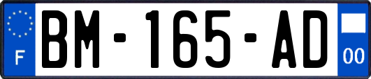 BM-165-AD