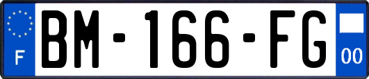 BM-166-FG