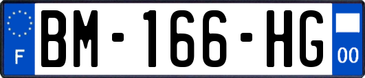 BM-166-HG