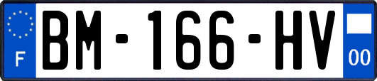 BM-166-HV