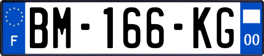 BM-166-KG