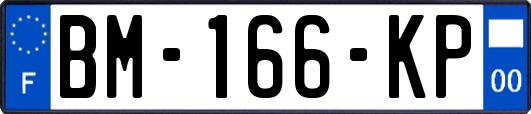 BM-166-KP