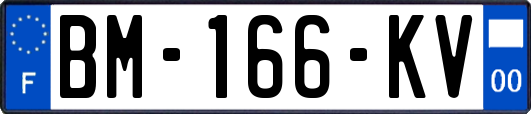 BM-166-KV