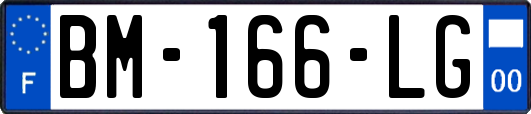 BM-166-LG