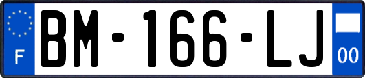 BM-166-LJ