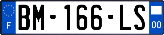 BM-166-LS