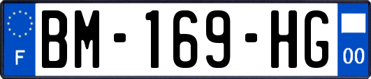 BM-169-HG