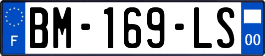 BM-169-LS