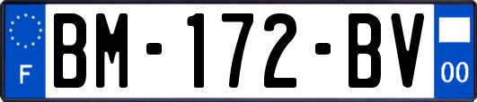 BM-172-BV