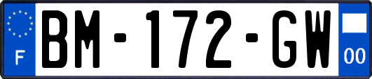 BM-172-GW