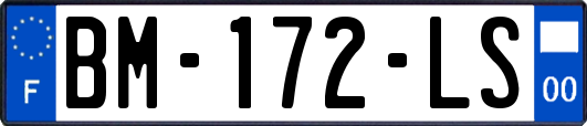 BM-172-LS