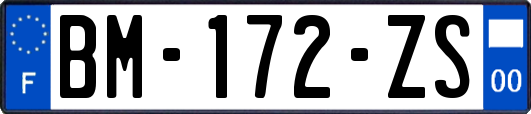 BM-172-ZS