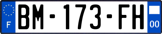 BM-173-FH