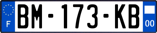 BM-173-KB