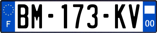BM-173-KV