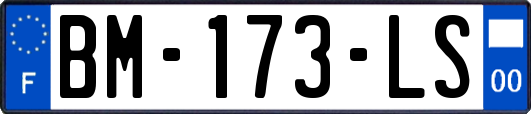 BM-173-LS