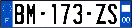 BM-173-ZS