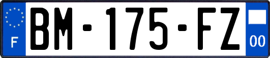 BM-175-FZ