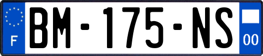 BM-175-NS