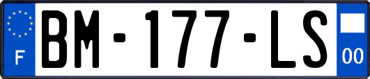 BM-177-LS
